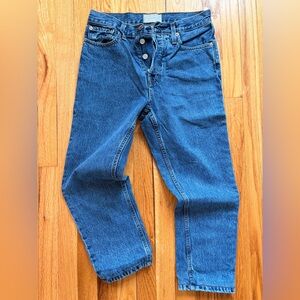 Everlane 90s Cheeky Sz. 26 Ankle in Northridge